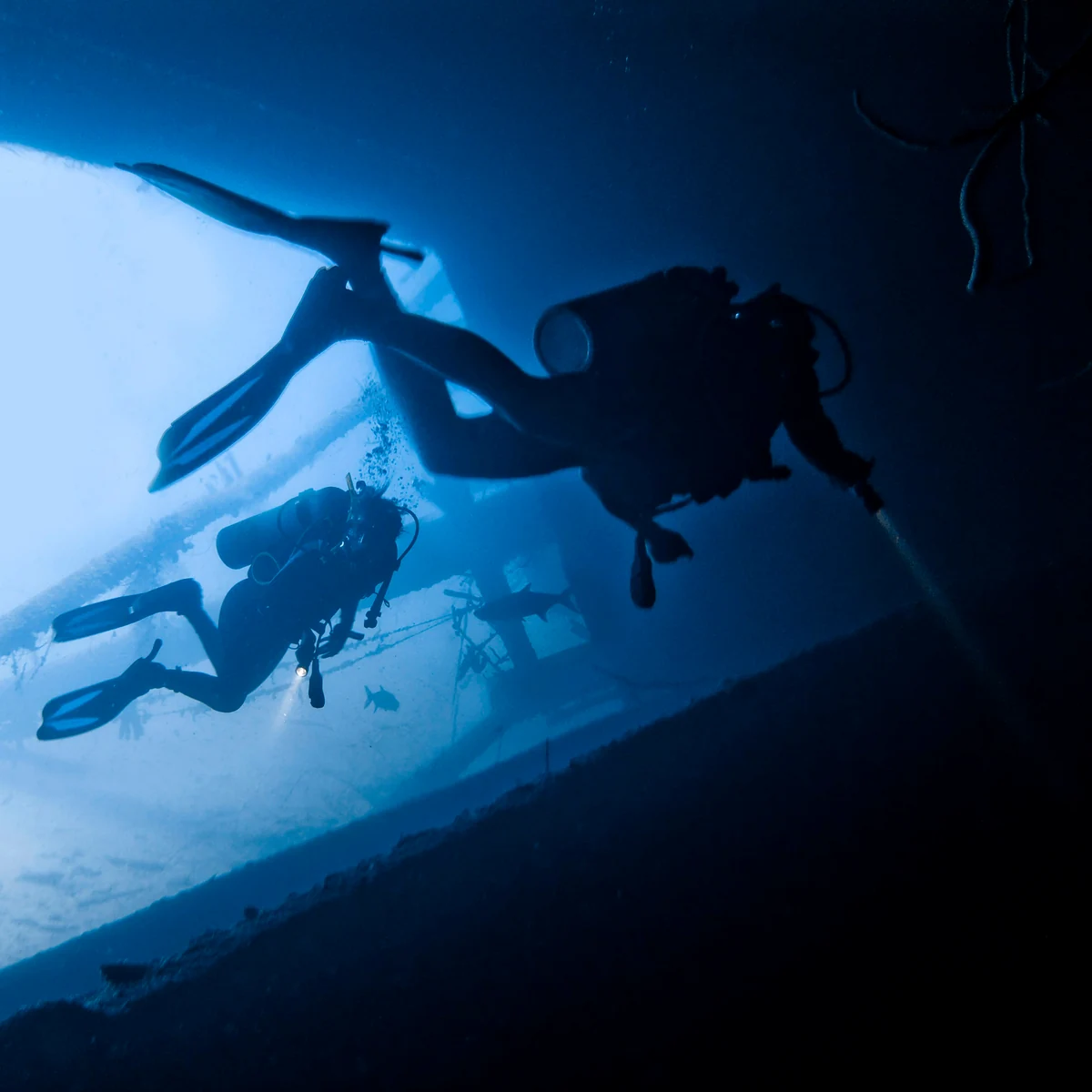 Scuba Diving